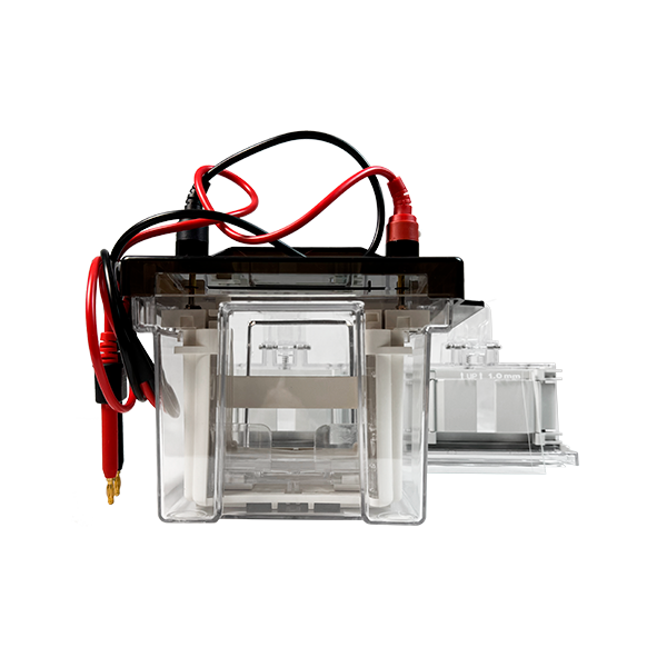 Cámara de electroforesis vertical. Modelo SM-MINI01