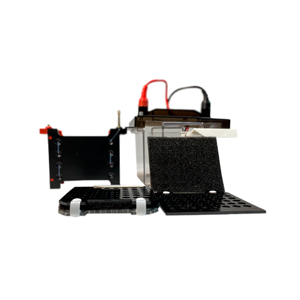 Tanque de transferencia de electroforesis. Modelo SM-ZY02