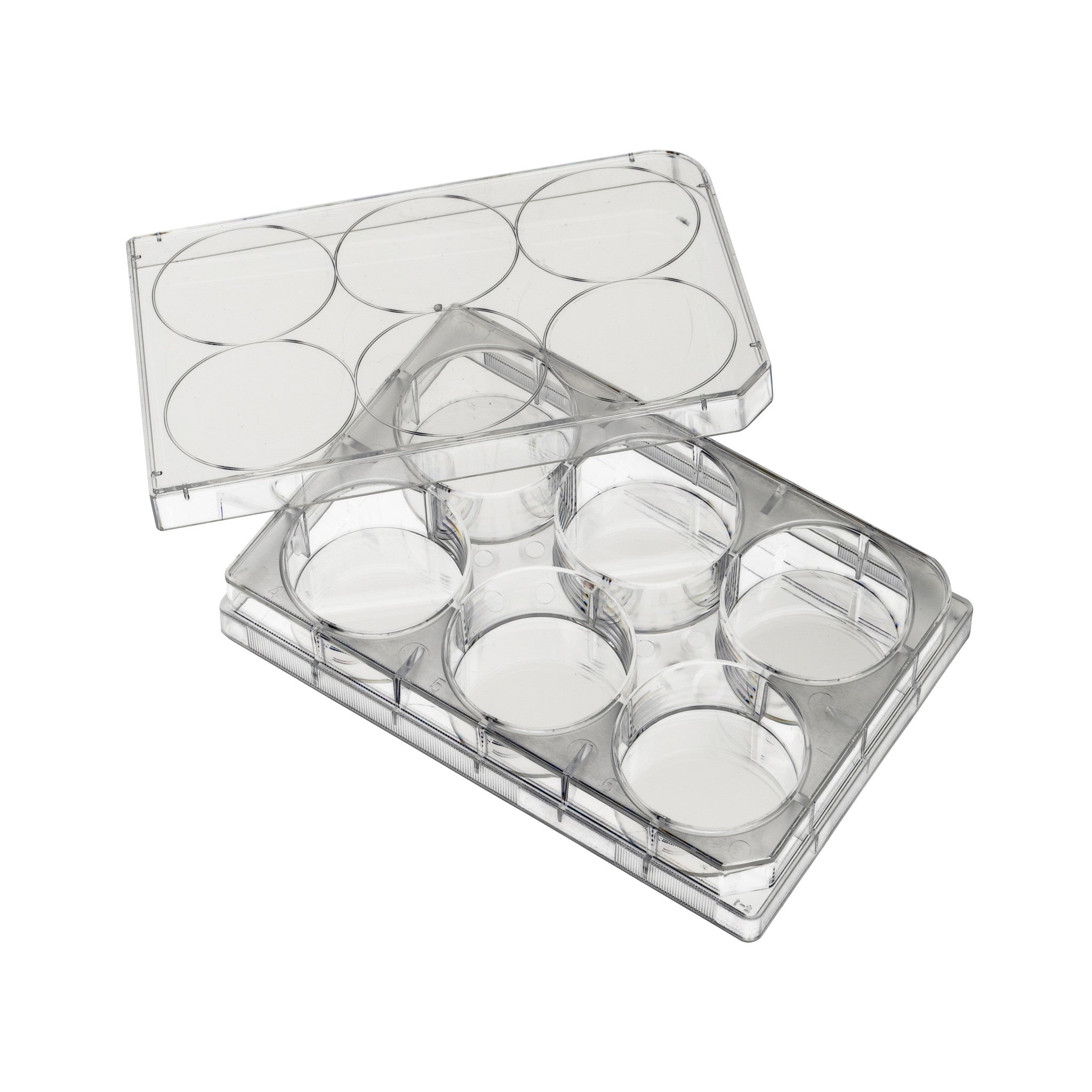 Placa para cultivo de 24 pozos. Modelo 07-6024