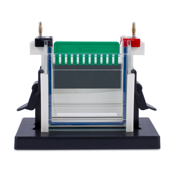 Cámara de electroforesis. Modelo CS-SCZ2+