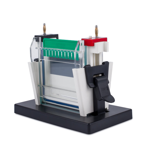 Cámara de electroforesis. Modelo CS-SCZ2+