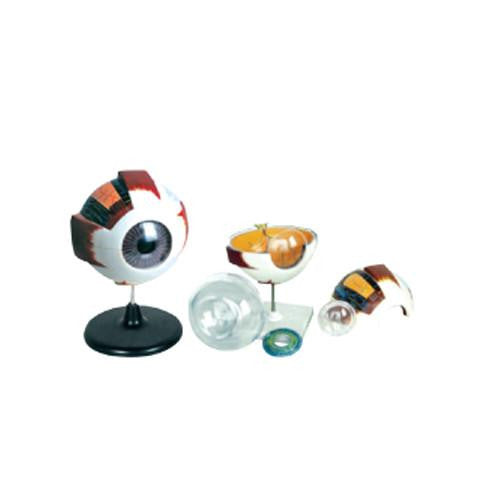 Ojo gigante. Modelo CVQ7033