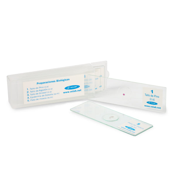 Microscopio biológico profesional. Modelo VE-B6