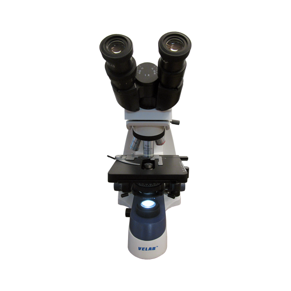 Microscopio binocular básico. Modelo VE-B2 PLUS PLAN