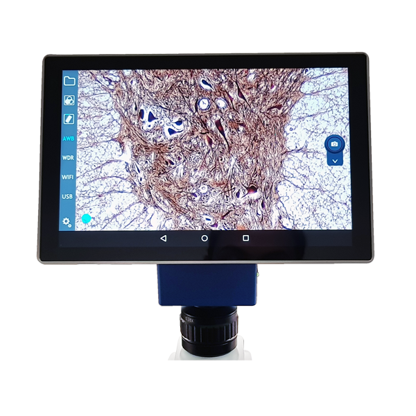Tablet para microscopio. Modelo VE-SCOPEPAD-300