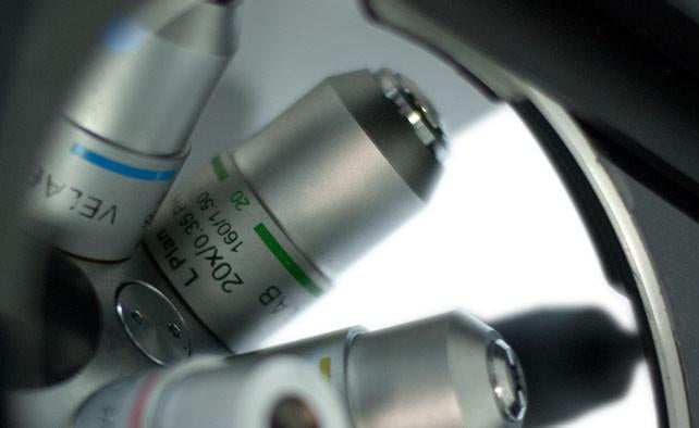 Microscopio Invertido. Modelo VE-403