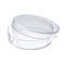 Caja Petri de vidrio 60x15mm. Modelo 1177-6