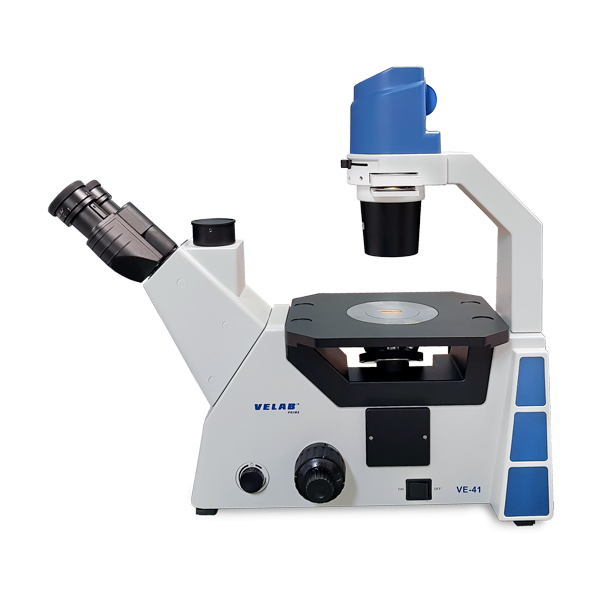 Microscopio triocular Invertido. Modelo VE-41