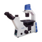 Microscopio triocular Invertido. Modelo VE-41