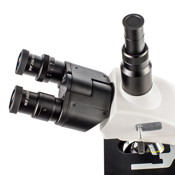 Microscopio Triocular biológico (intermedio). Modelo VE-B15