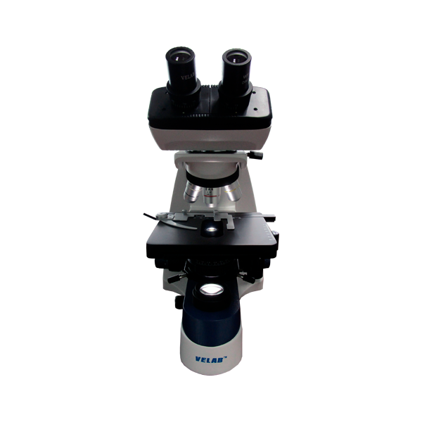 Microscopio binocular básico. Modelo VE-B3