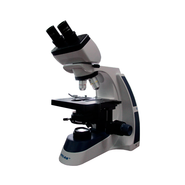 Microscopio binocular básico. Modelo VE-B3