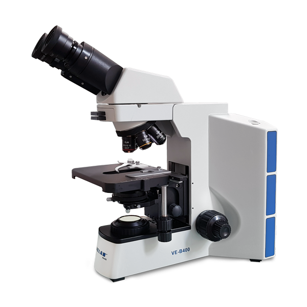 Microscopio Binocular biológico . Modelo VE-B400