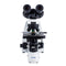 Microscopio binocular de contraste de fases. Modelo VE-PH300