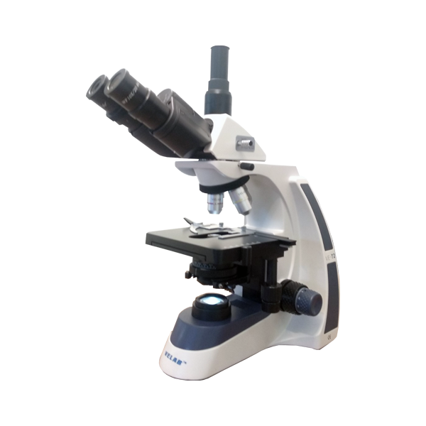 Microscopio Triocular biológico. Modelo VE-T2