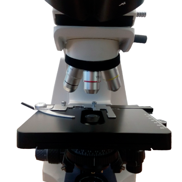 Microscopio Triocular biológico. Modelo VE-T2