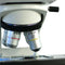 Microscopio digital biologico. Modelo VE-653